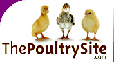 The Poultry Site poultry portal