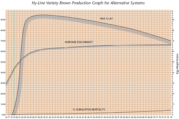 Production Graph